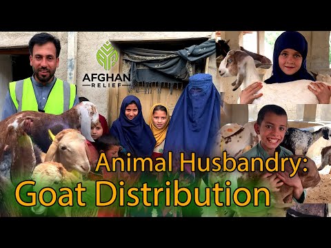 Animal Husbandry: Goats and Sheep Distribution