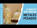 10 Alimentos que ELIMINAN los METALES PESADOS 👍🩸 (100% Natural)