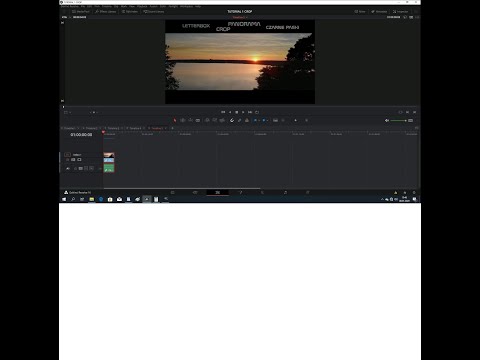 davinci resolve crop video crops everything