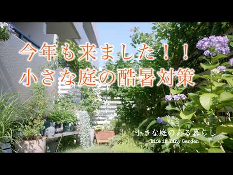 小さな庭を予算内で作るコツ