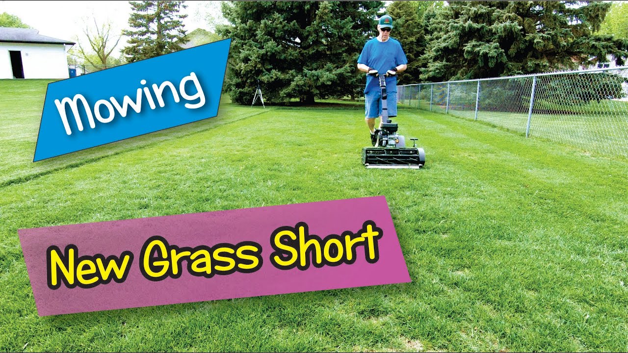 Mowing New Grass Short YouTube