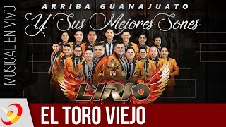 Video-Miniaturansicht von „Banda Lirio - El Toro Viejo (En Vivo)“