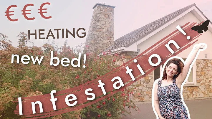 The REALITY Of Renovating An Oldish House! | From ...