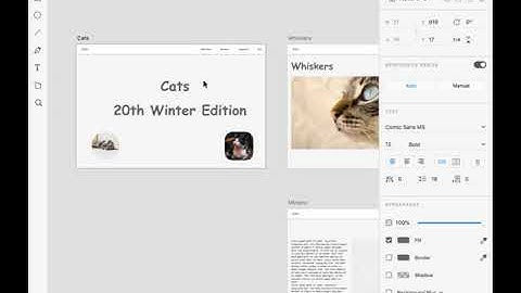 Creating a Single Page Web Application in Adobe XD