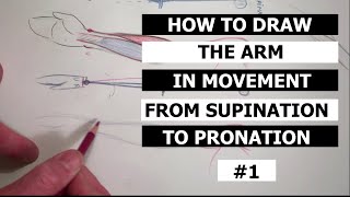 How to Draw the Arm from Supination to Pronation | Part 1