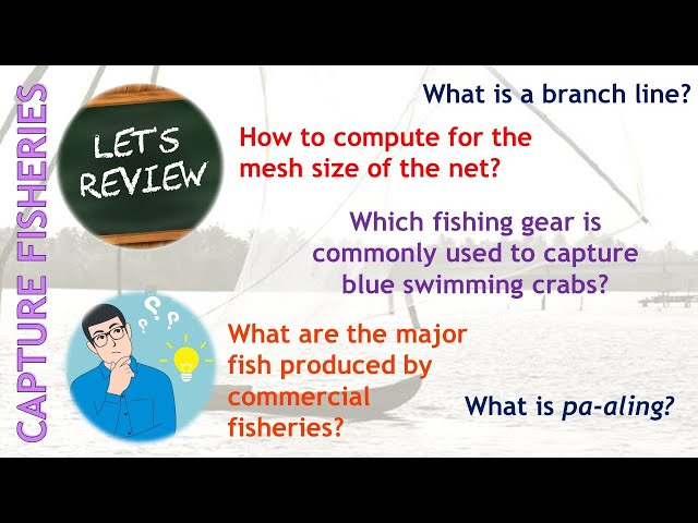 Capture Fisheries Ppt