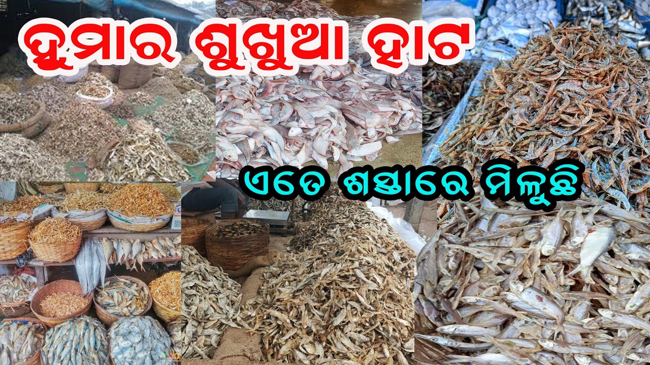 Dhuma Fish Huma Ra Sukhua Hata | Huma Dry Fish Market #huma #dryfishmarket #ganjam ...