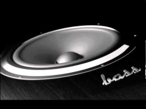 Lil Wayne Gunwalk Bass Boosted 