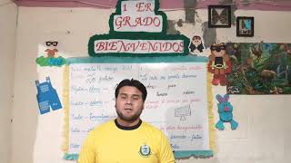 Los Sentidos - Primaria 1/ Ciencia y ambiente