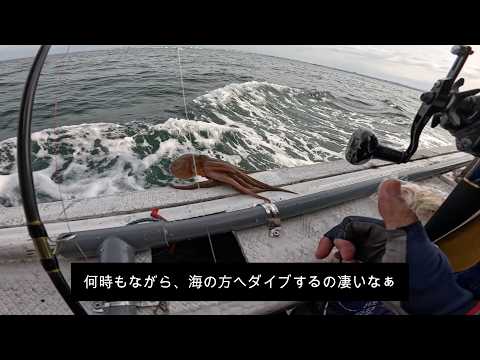 明石タコ釣り 26タコマスターXR S175と22極鋭エギタコ S176 使い比べて