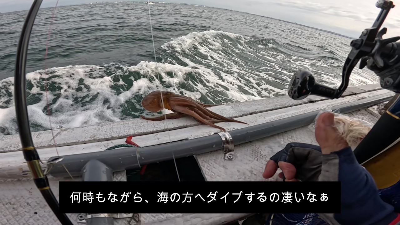明石タコ釣り 26タコマスターXR S175と22極鋭エギタコ S176 使い比べて