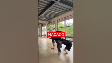 MACACO