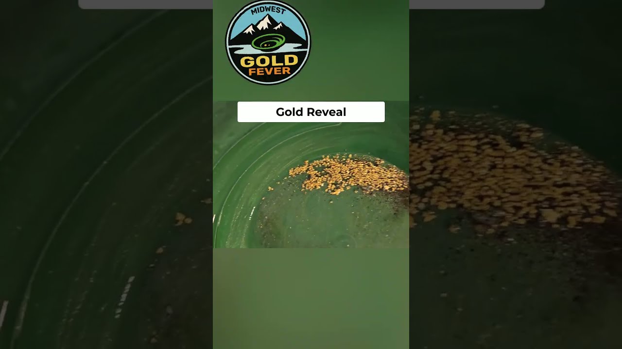 Incredible Gold reveal! GOLD SMILE! #goldprospecting #prospecting #treasuresearch