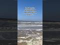 🥰🎶 #markierejemanden #urlaubssong #deutschpop #urlaub #deutschemusik