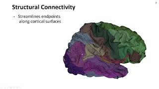 Structural Connectivity