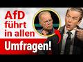 Bei Lanz: „AfD wird mehr Lösungskompetenz zugetraut als CDU!“
