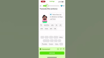 Let’s learn German with Duolingo #beginner section 3: traveller unit 14 #languagelearning #germany
