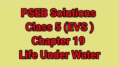 PSEB CLASS 5 (EVS) CHAPTER 19 LIFE UNDER WATER