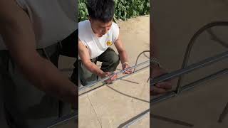 Tunnel Chicken Farming — The Best Way to Raise Free-Range Native Chickens Scientifically! #chicken