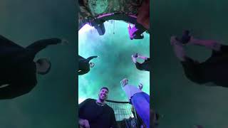 #dubstep #edm #riddim #fyp #shorts #rave #fypviral #viral