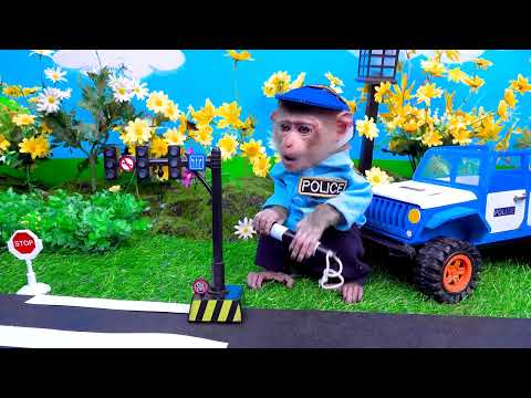 Macaquinho BiBi colhe melancias coloridas e faz sorvete com seu amigo patinho