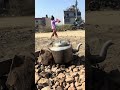 चालिसबर्स अघिदेखि बलिरहेको आगो ।