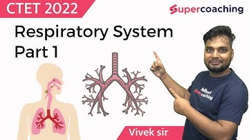CTET 2022 - Respiratory System - Part 1 | Social Science MCQs | Vivek Sir | REET UPTET DSSSB HTET
