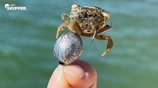 #1 TOP Fishing Rig for Beginners! (Skyway Pier Fishing)