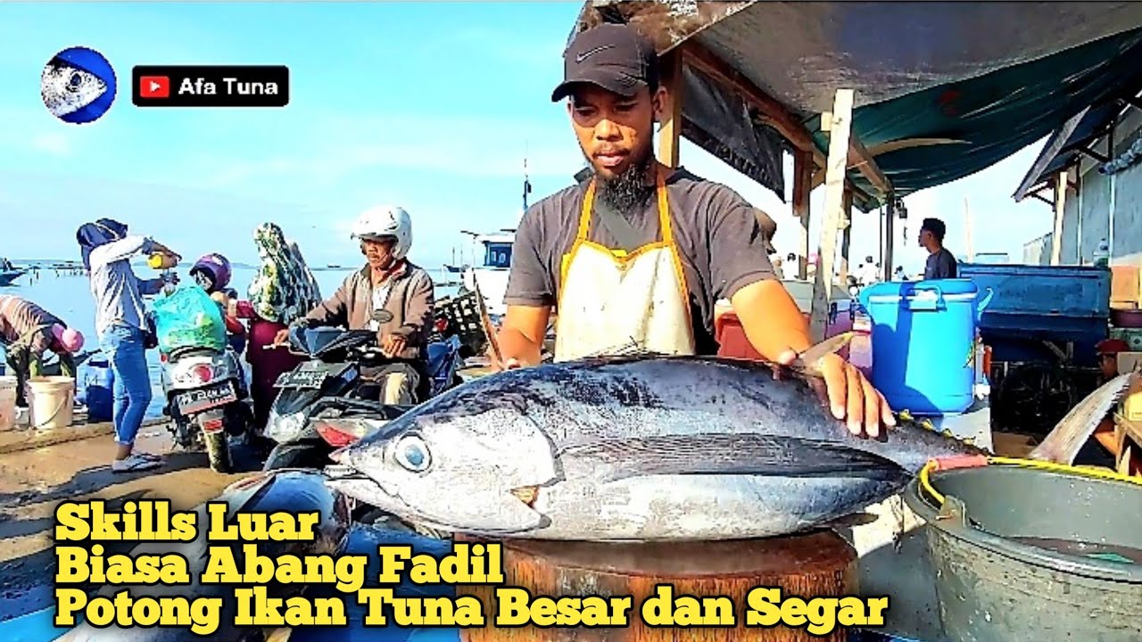 Skills Luar Biasa Abang Fadil Potong Ikan Tuna Besar dan Segar