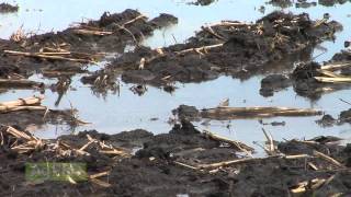 Ag PhD Show #861 (Air Date 10/5/14)