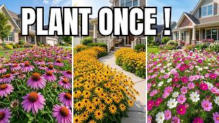 Don't Miss These 13 Flowers That Keep Coming Back Every Season