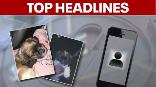 Dog Stolen From Dc Home Road Rage Incident Leads To Stabbing Hot Week Ahead For Dmv Top Stories