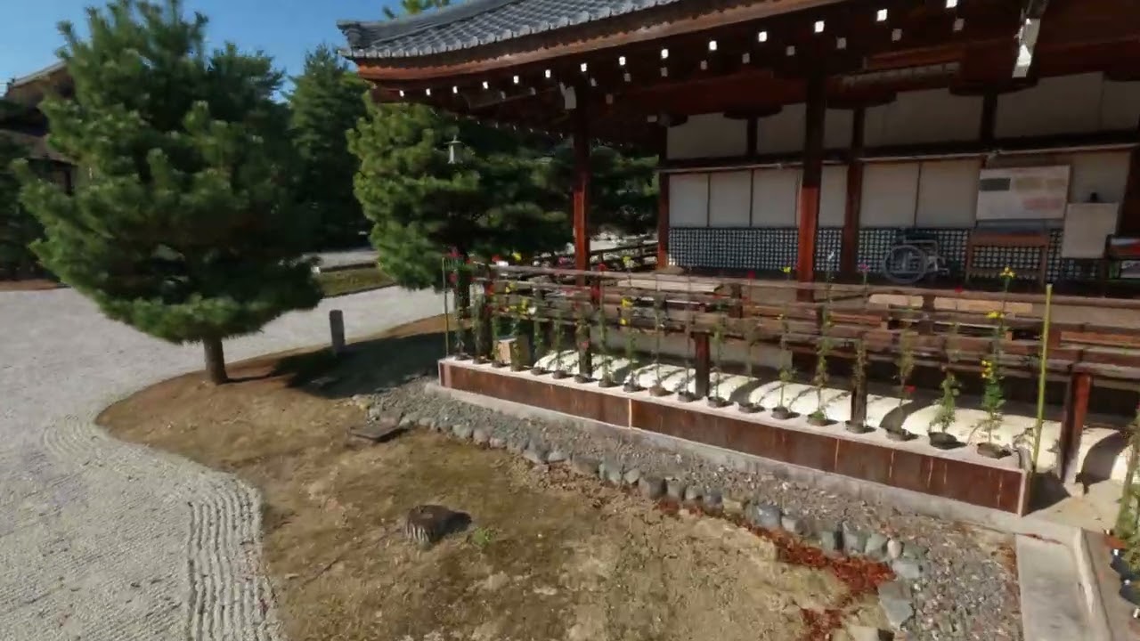 旧嵯峨御所 大本山 大覚寺 – 真言宗大覚寺派の本山。代々天皇もしくは