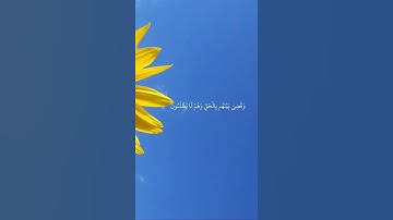 تلاوة هادئة للشيخ ماهر المعيقلي - وَأَشْرَقَتِ الْأَرْضُ بِنُورِ رَبِّهَا