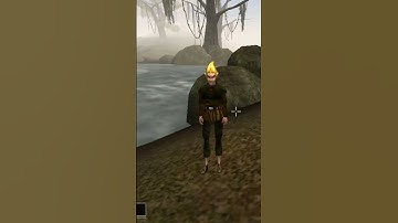 Killing the adoring fan in Morrowind every day until Skywind and Skyblivion are released -  Day 2