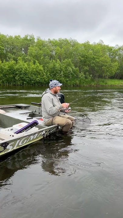 Камчатка 2024 день29 Чавыча на легкий спиннинг. #камчатка #fishing # ...