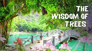 The Wisdom Of Trees Yonder Dale: The Good, The Bad, And The Ugly