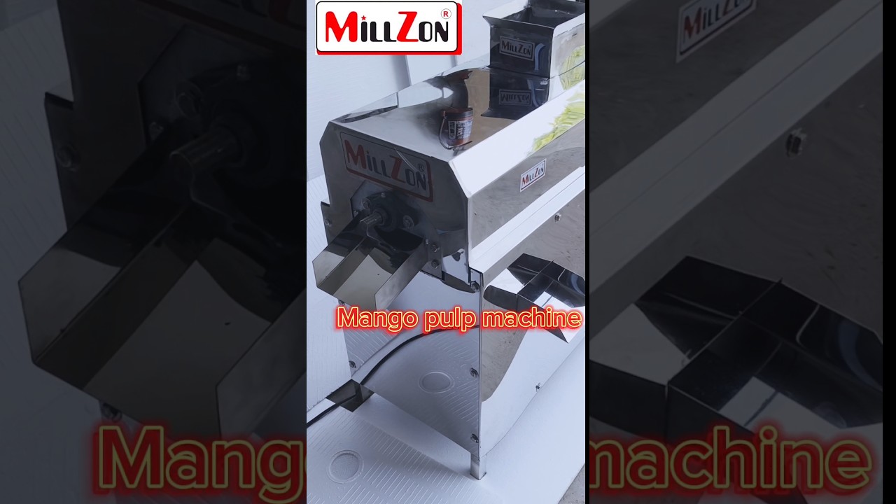 Mango Pulper Machine// Pulp Making Machine 