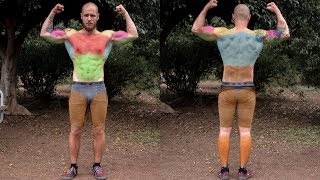 How to Train ALL Muscles with Calisthenics
►Coaching: https://www.patreon.com/trainingpal
►My Instagram: https://www.instagram.com/training.pal/ How to Train ALL Muscles with Calisthenics