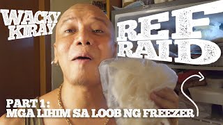 REF RAID : Ang Lihim ng Freezer