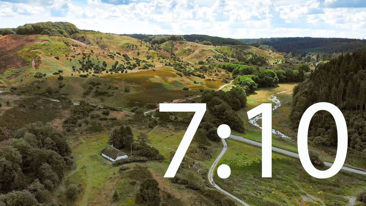 Rold Skov i fugleperspektiv - del 7