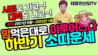 (2021소띠하반기운세)뜻한 바대로 마음 먹은대로 이루는 소띠 하반기 운세(남양주점집)(97년생 운세)(85…