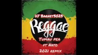 DJ Barnet3023 Tumau pea ft Nato reggae remix 2021