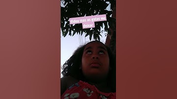 27 de fevereiro de 2023