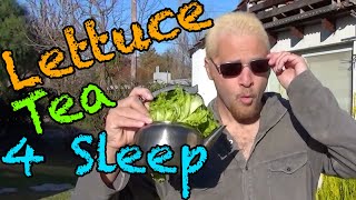 Drink Lettuce Tea to Help You Sleep!