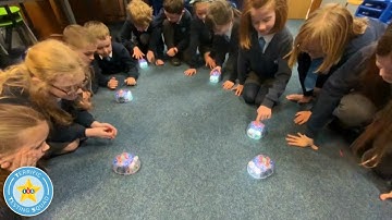 Terrific Testing Squad | Blue-Bot and STEAM