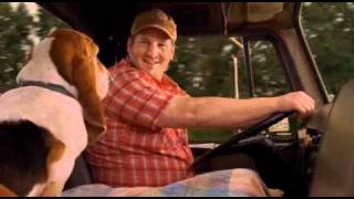 American Pie 2