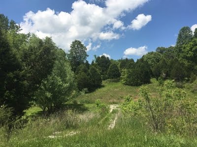 Lots 1 & Horn Rd Cecilia, Kentucky 42724 MLS# 10034328