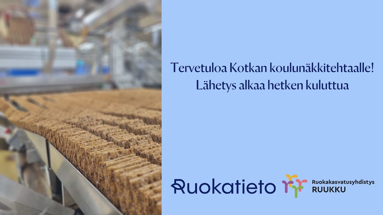 Kuinka koulunäkki valmistuu? | Esikoulu ja 1.-4.-luokkalaiset: Seikkailu koulunäkin maailmaan!