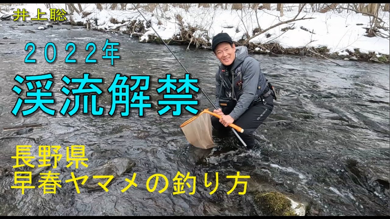 22年長野県渓流釣り解禁 早春ヤマメの釣り方 Youtube